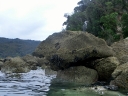 abeltasman (16)
